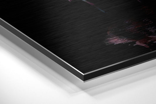 Flamingos Brushed Aluminium Dibond Wall Art