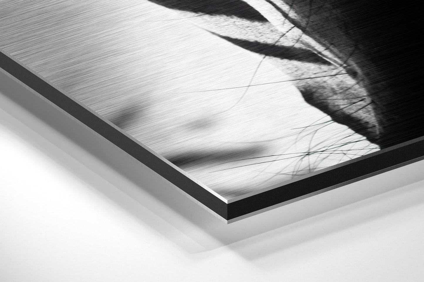 Zebra Brushed Aluminium Dibond Wall Art