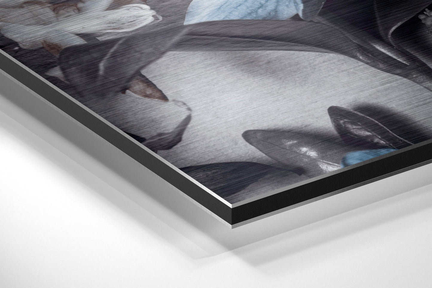Flowers Brushed Aluminium Dibond Wall Art