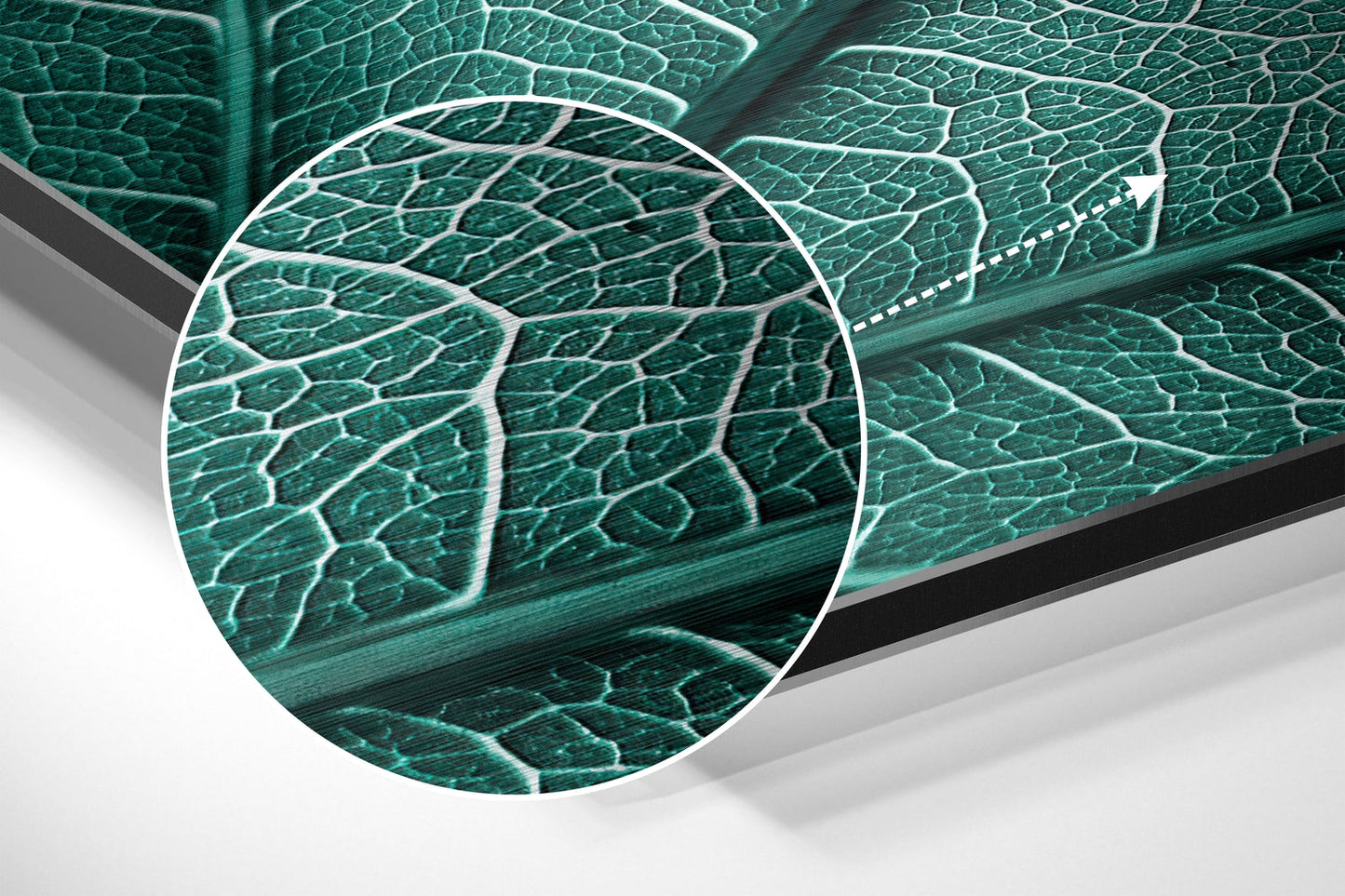 Leaf Brushed Aluminium Dibond Wall Art