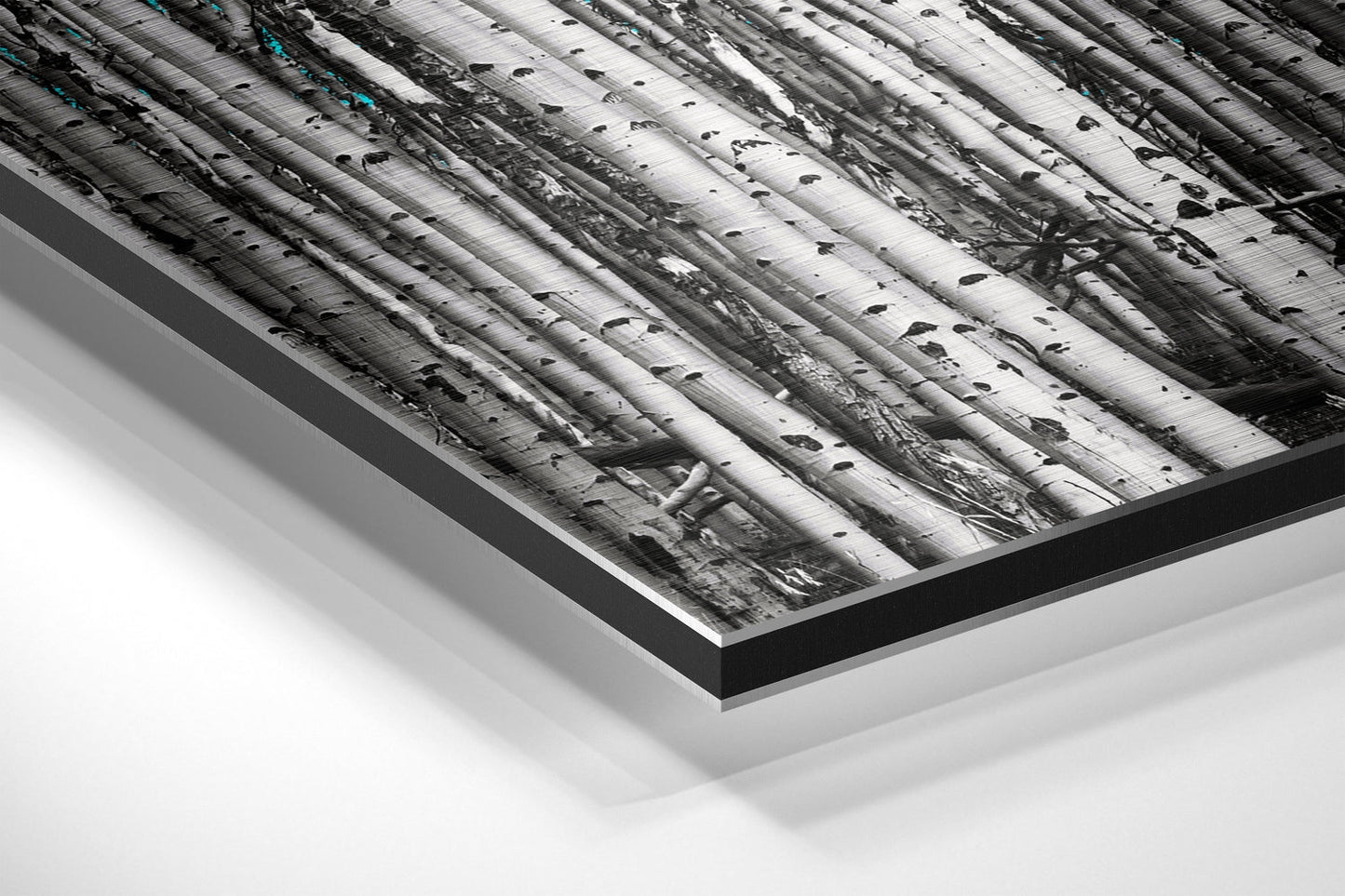 Forest Brushed Aluminium Dibond Wall Art