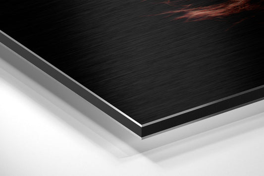 Feather Brushed Aluminium Dibond Wall Art