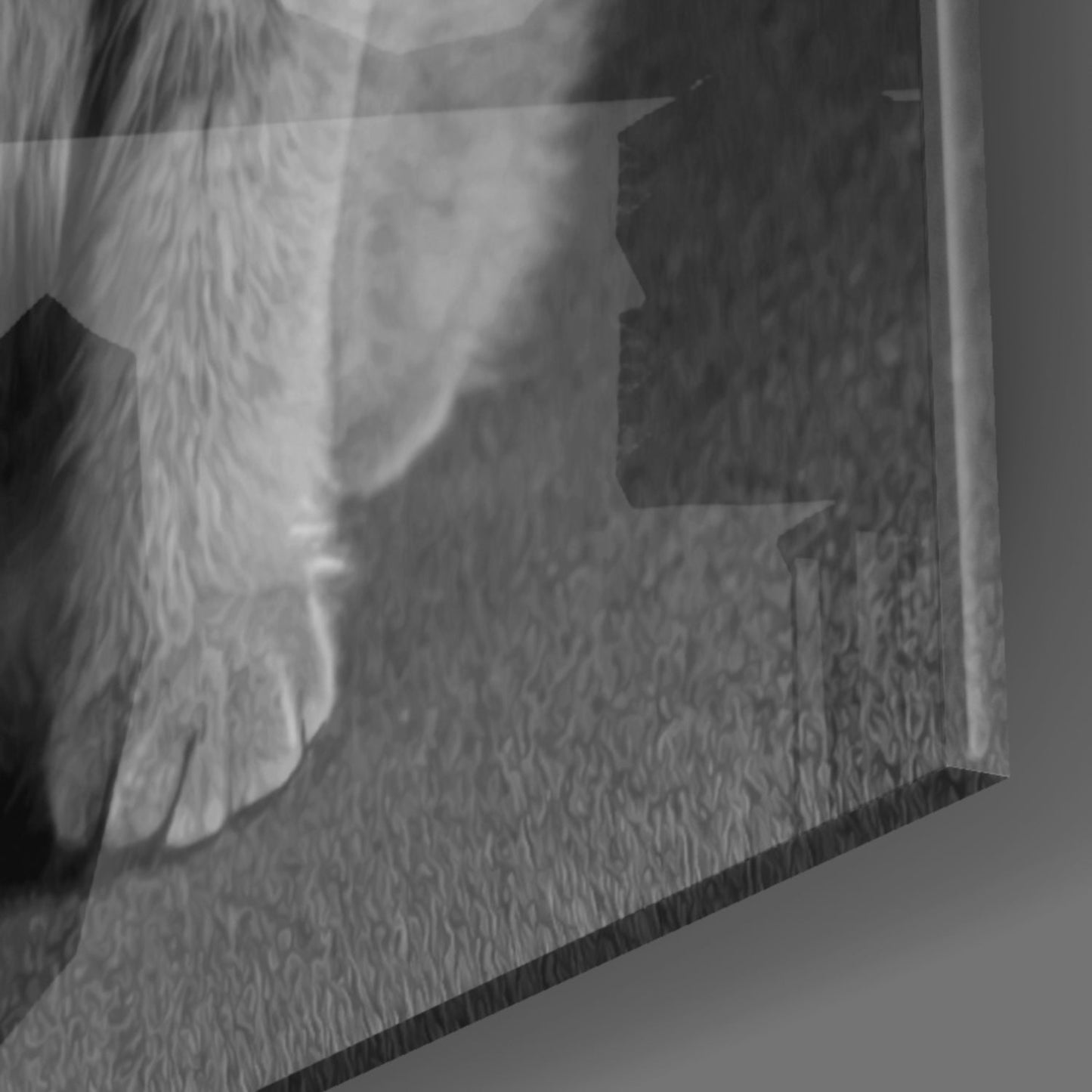 Cat Glass Wall Art