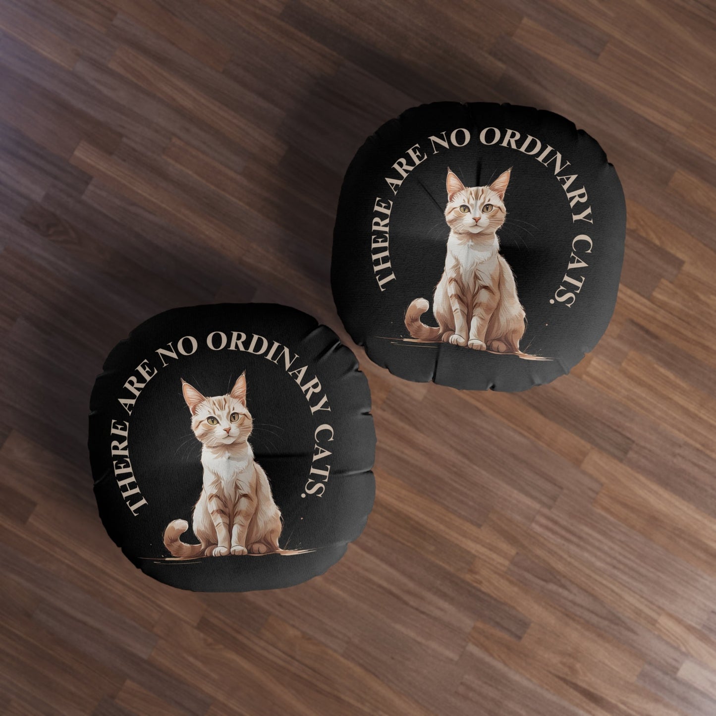 There Are No Ordinary Cats Floor Pillow | Cat Lover Tufted Cushion
