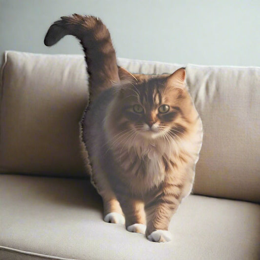 Cat-Shaped Pillows — Soft Form, Quiet Personality