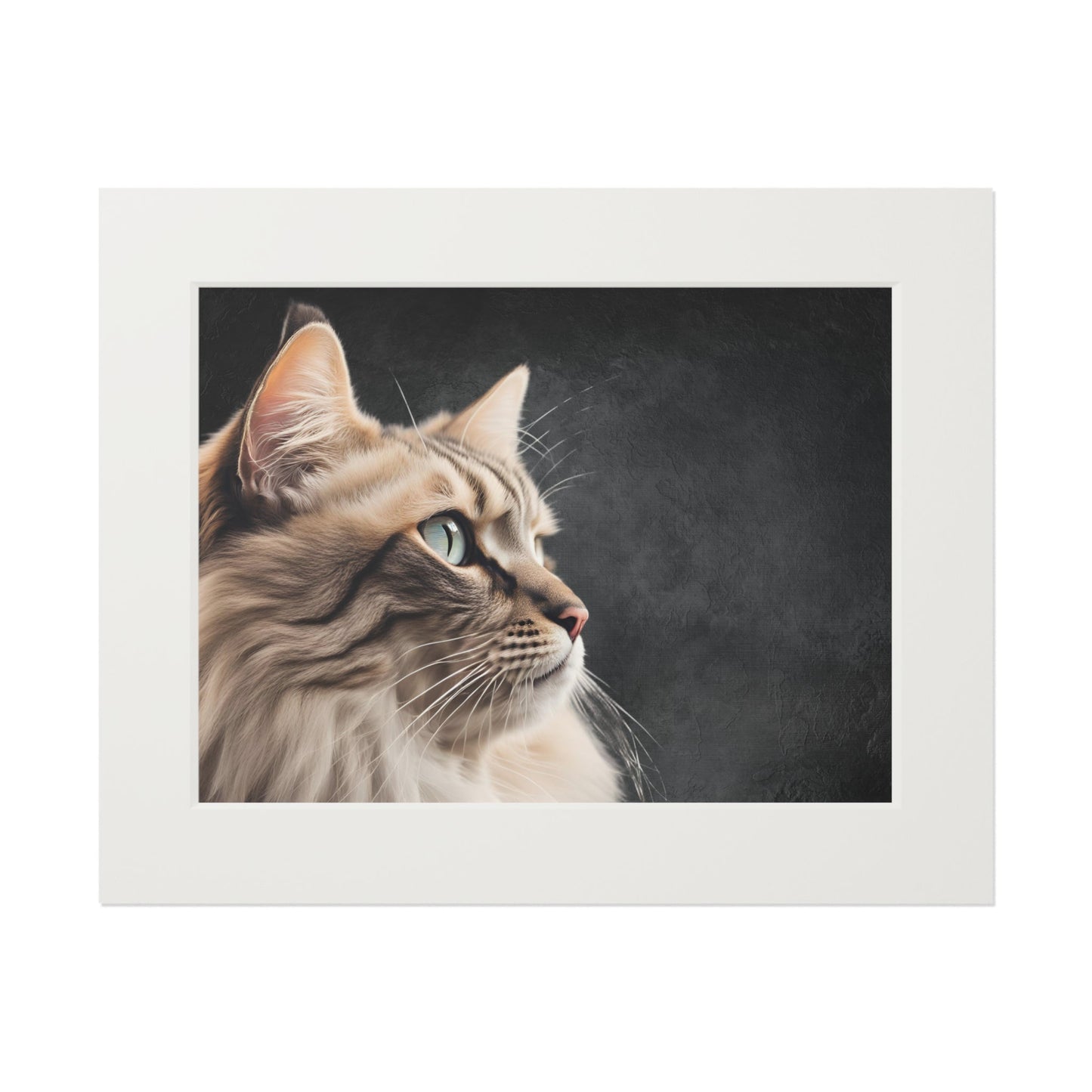 Gray Kitty Fine Art Print with Passepartout Frame
