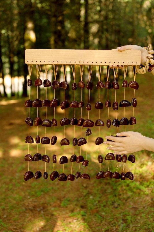 Handmade Juju Seed Shell Bar Chime