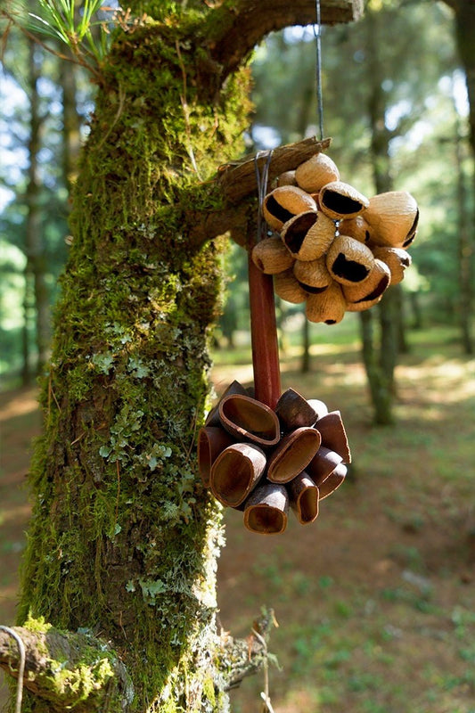 Juju Seed Pod Wooden Handle Shaker