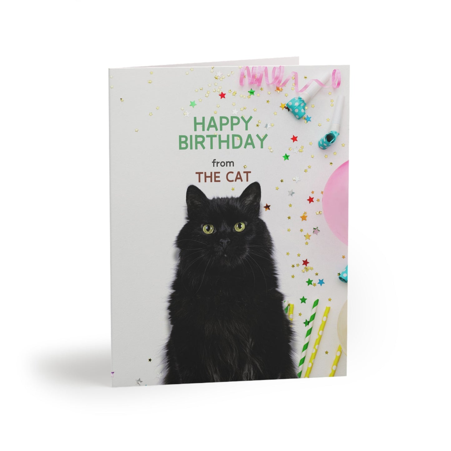 Happy Birthday from the Cat Greeting Cards, blank inside