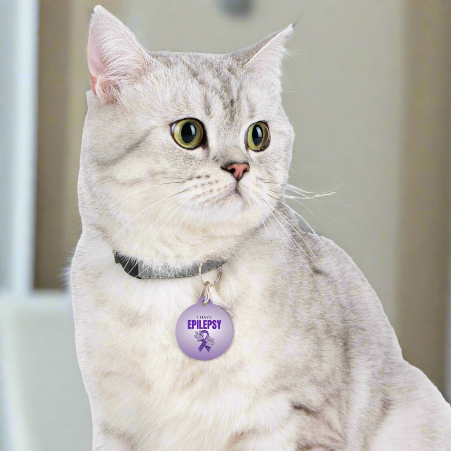 I Have Epilepsy Pet Tag – Epilepsy Awareness Collar Tag with Purple Ribbon & Paw Prints