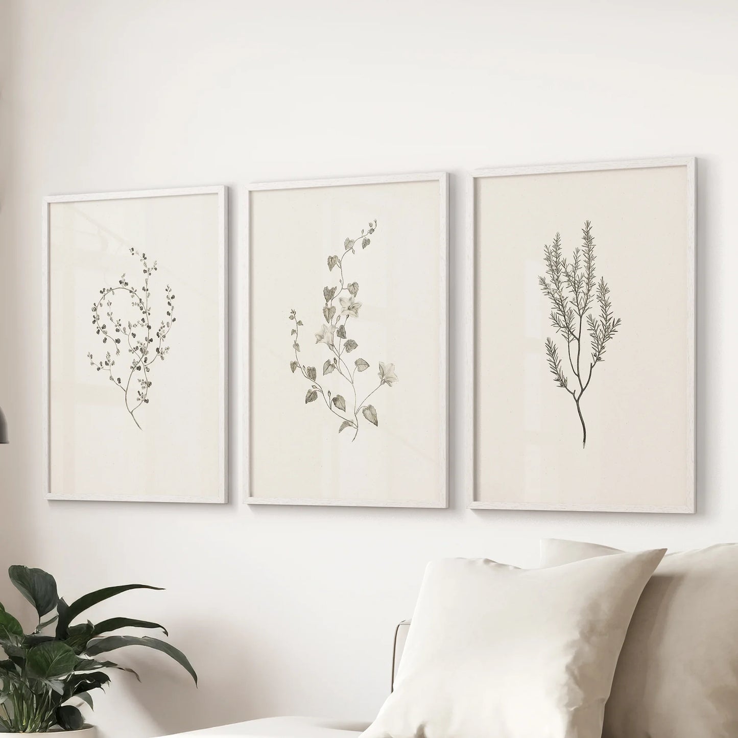 Vintage Dried Flower Wall Art. Set of 3 Rustic Botanical Prints