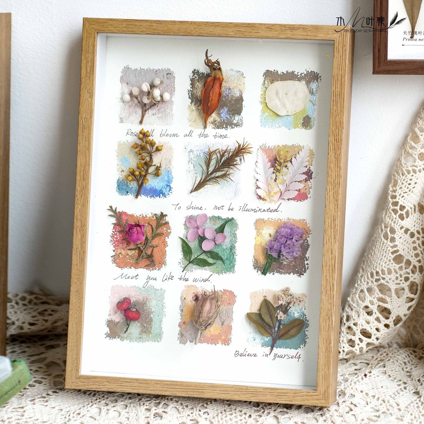 "Nature's Cabinet" Botanical Specimen Shadow Box
