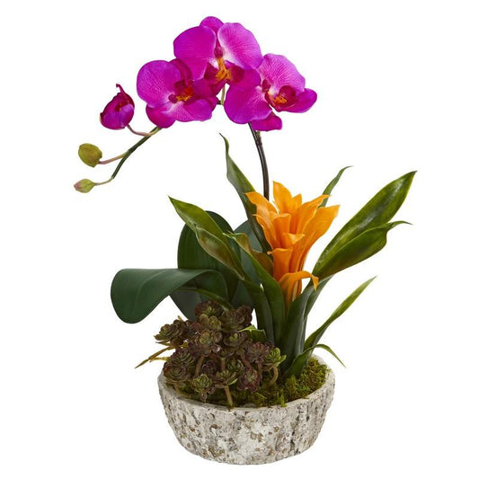 Orchid, Bromeliad and Succulent Artificial Arrangement in Planter