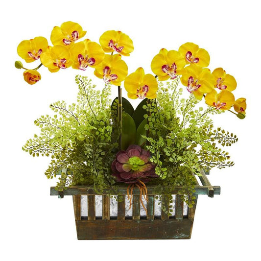 Orchid, Succulent and Maiden Hair Artificial Arrangement