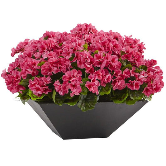 Geranium with Black Planter UV Resistant (Indoor/Outdoor)