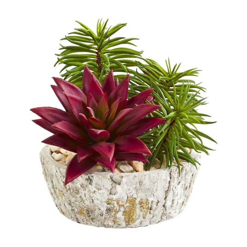 Succulent Artificial Plant in Weathered Oak Planter (Set of 2)