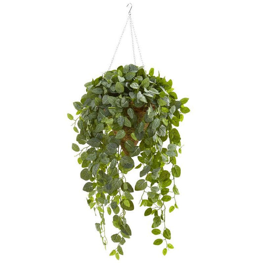 Fittonia Artificial Plant in Hanging Cone Basket (Real Touch)