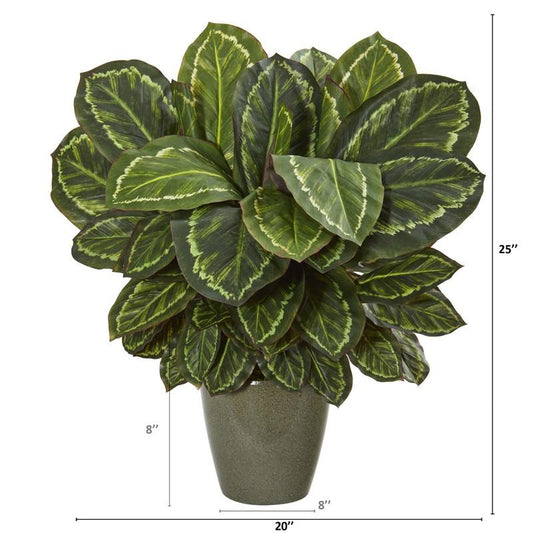25" Maranta Artificial Plant in Decorative Planter