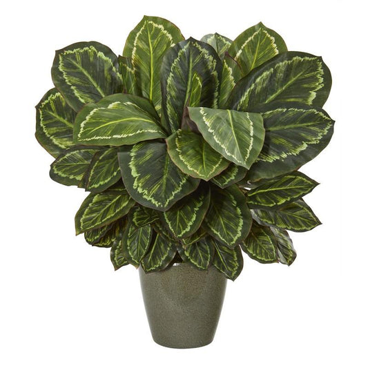 25" Maranta Artificial Plant in Decorative Planter