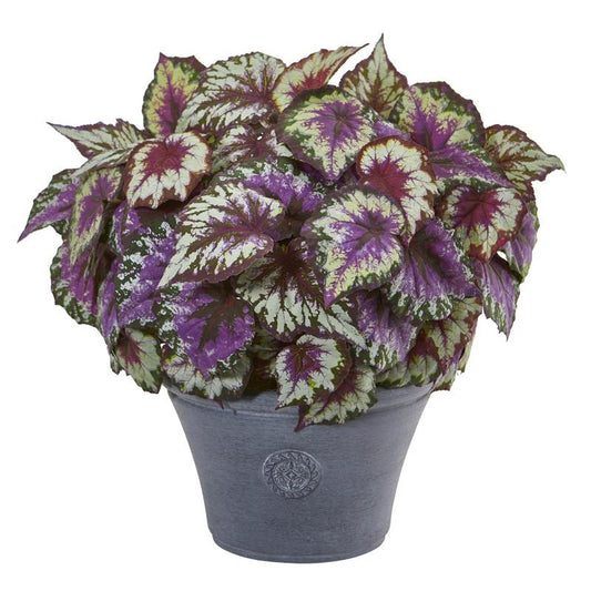22" Begonia Artificial Plant in Gray Planter