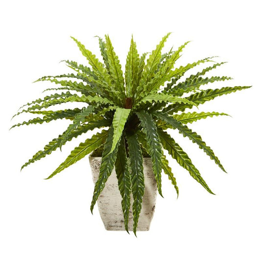 24" Asplenium Artificial Plant in Country White Planter