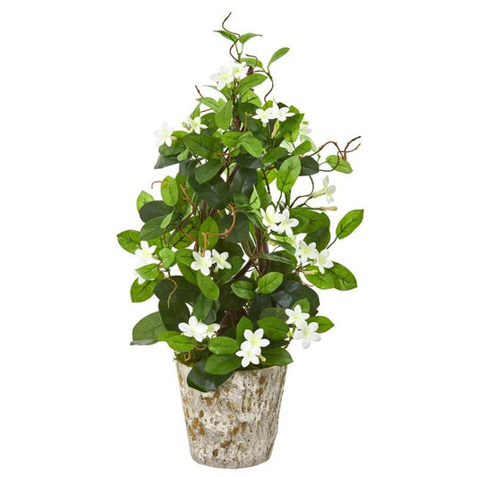 25" Stephanotis Artificial Climbing Plant in Weathered Planter