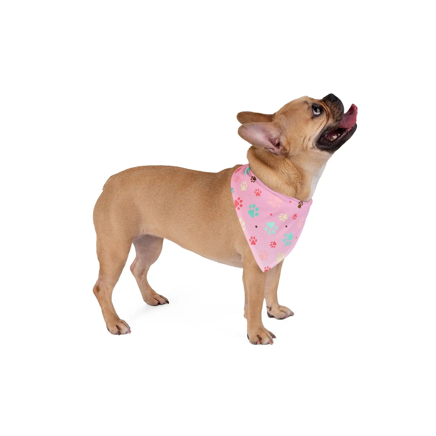 Pet Bandana with Colorful Paw Prints for Dogs and Cats