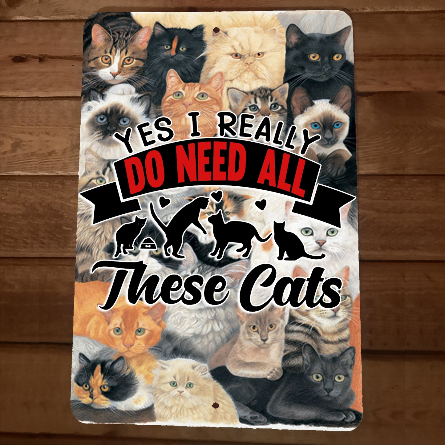 Yes I Really Do Need All These Cats 8x12 Metal Wall Sign Animal Poster