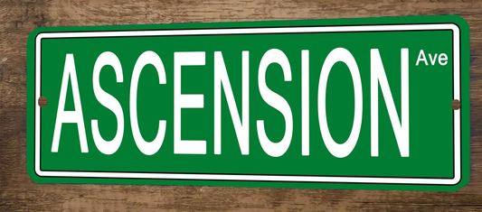 Ascension Ave 4x12 Metal Wall Sign Banner Poster Green Steet Sign