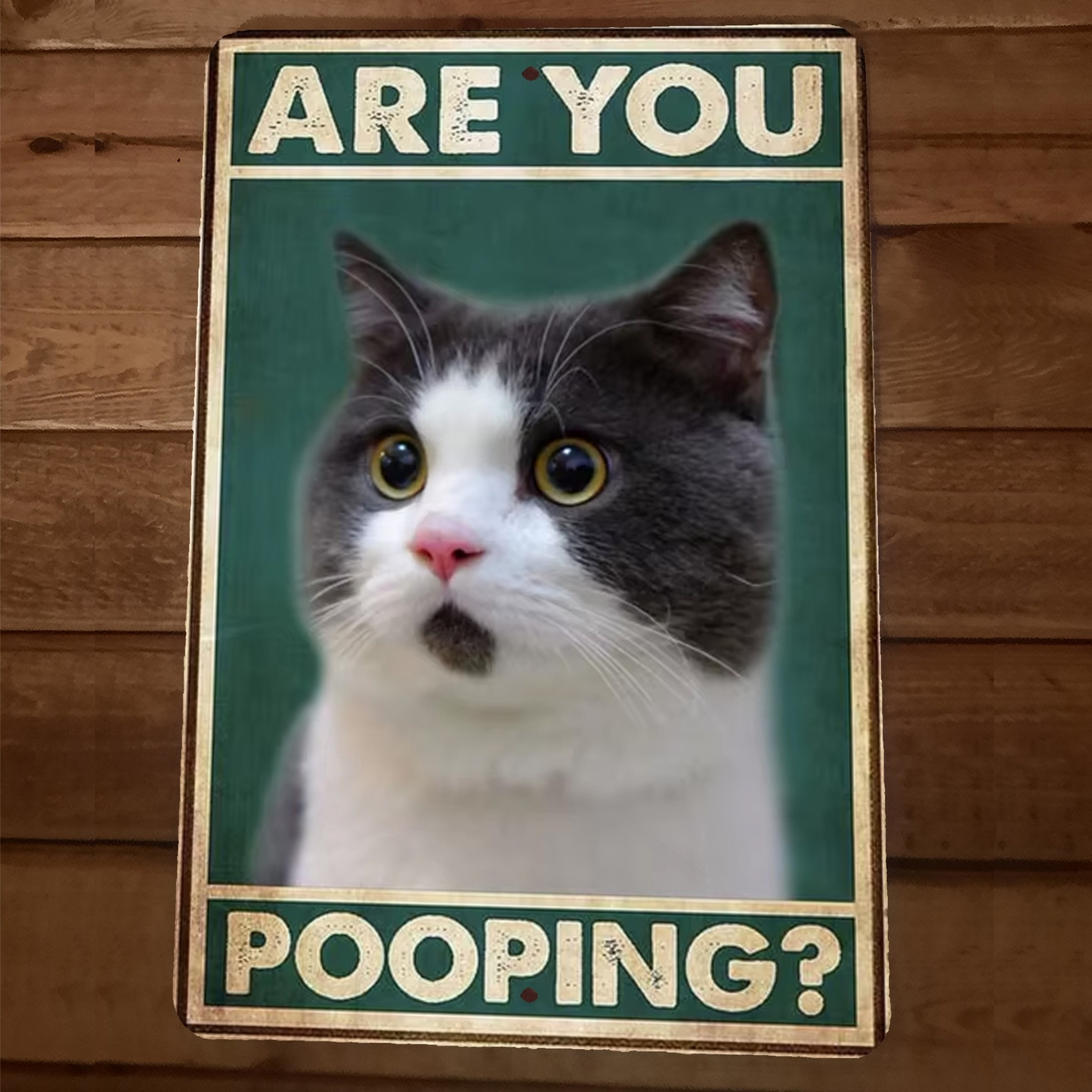 Are You Pooping Cat 8x12 Funny Bathroom Metal Wall Sign #6