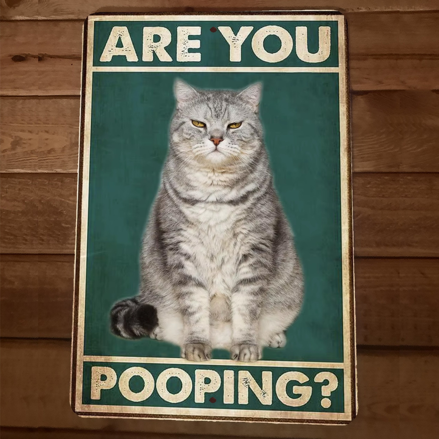 Are You Pooping Cat 8x12 Funny Bathroom Metal Wall Sign #4