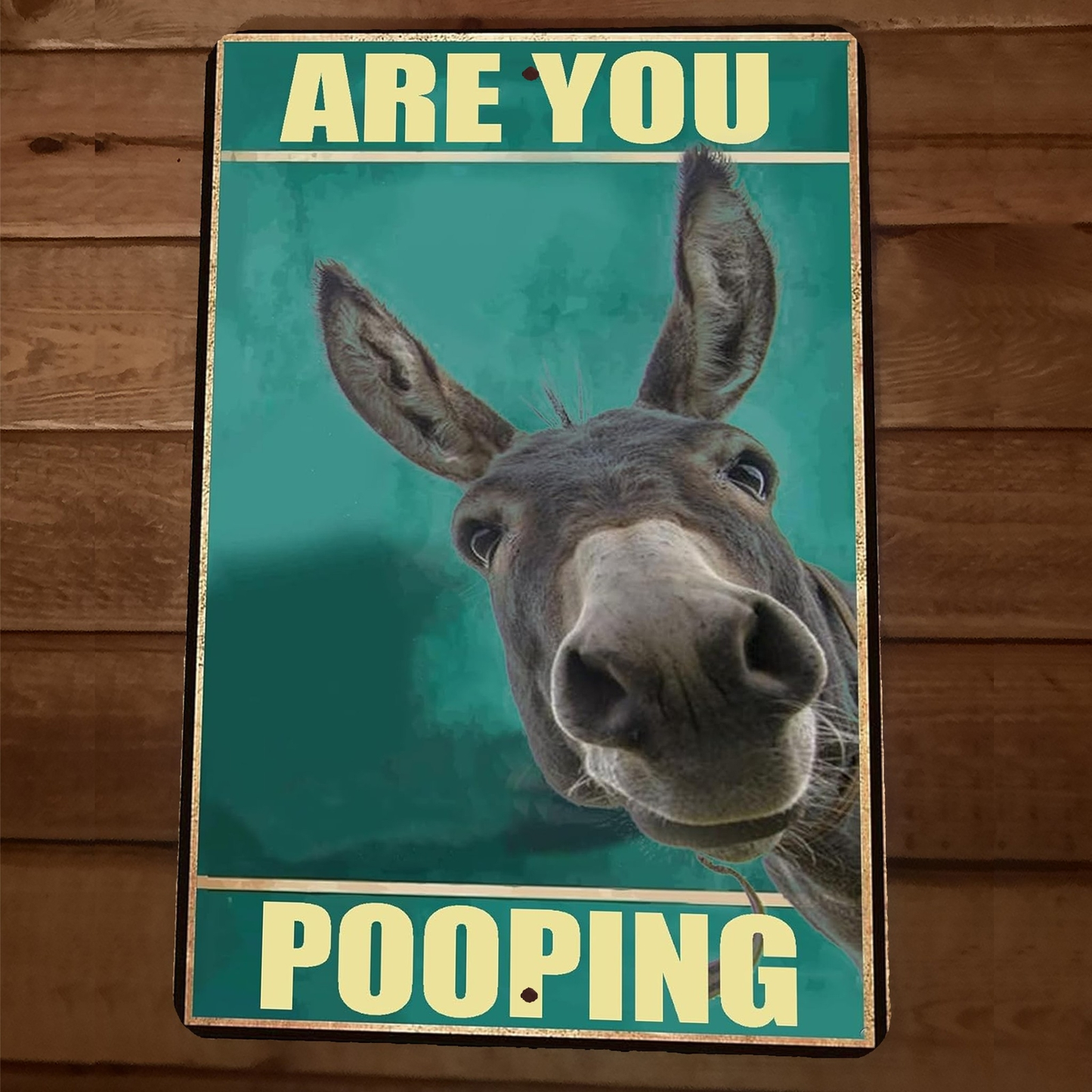 Are You Pooping Donkey Jackass 8x12 Funny Bathroom Metal Wall Sign