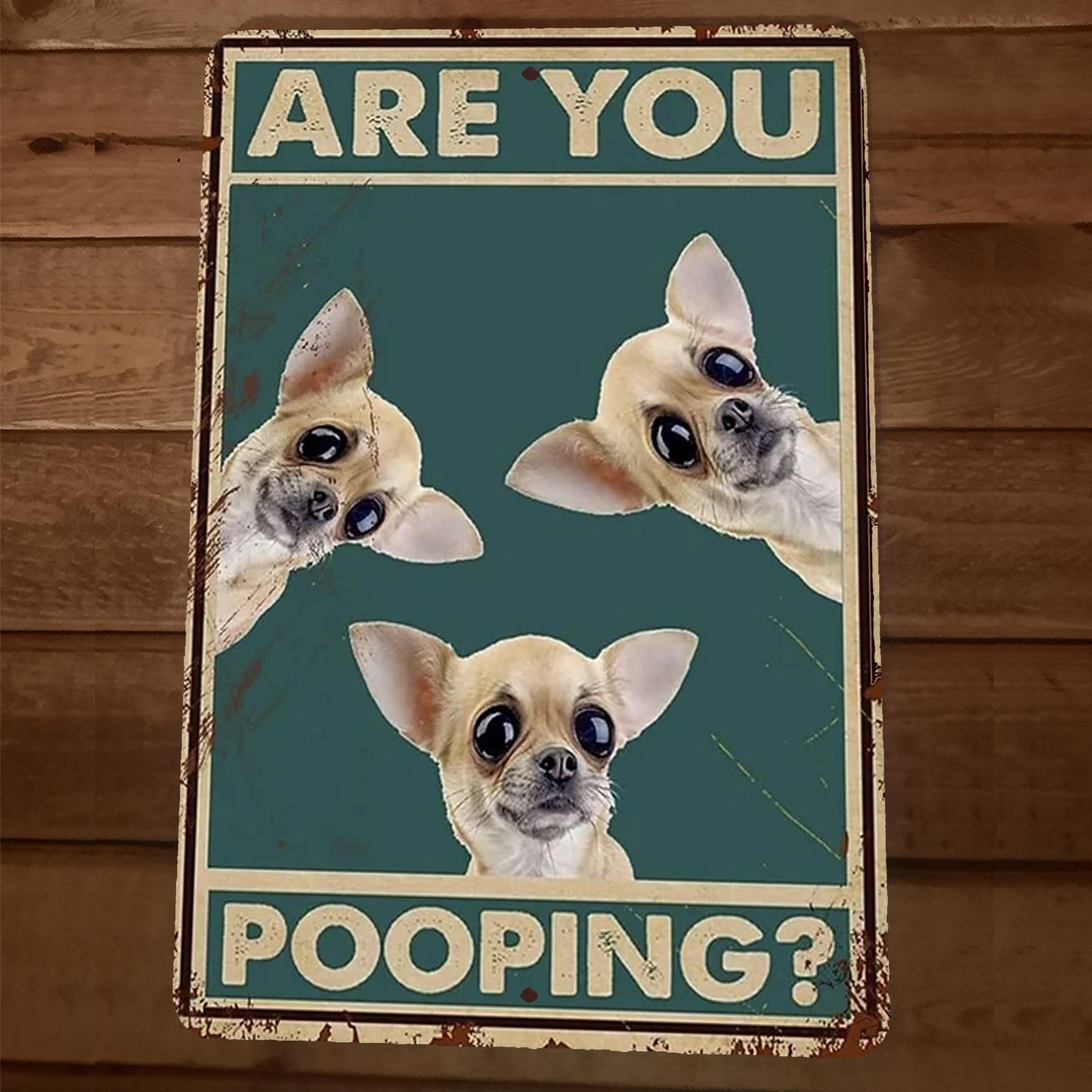 Are You Pooping Chihuahua Dogs 8x12 Funny Bathroom Metal Wall Sign