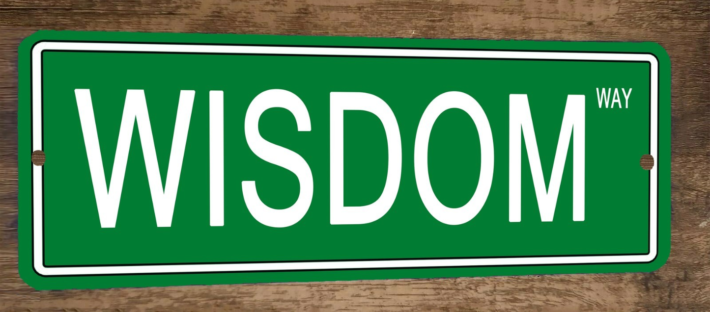 Wisdom Way 4x12 Metal Wall Sign Banner Poster Green Steet Sign