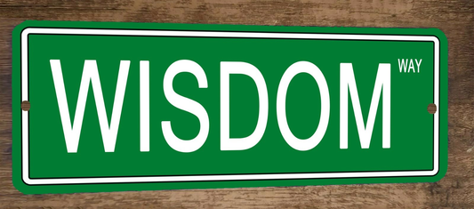 Wisdom Way 4x12 Metal Wall Sign Banner Poster Green Steet Sign