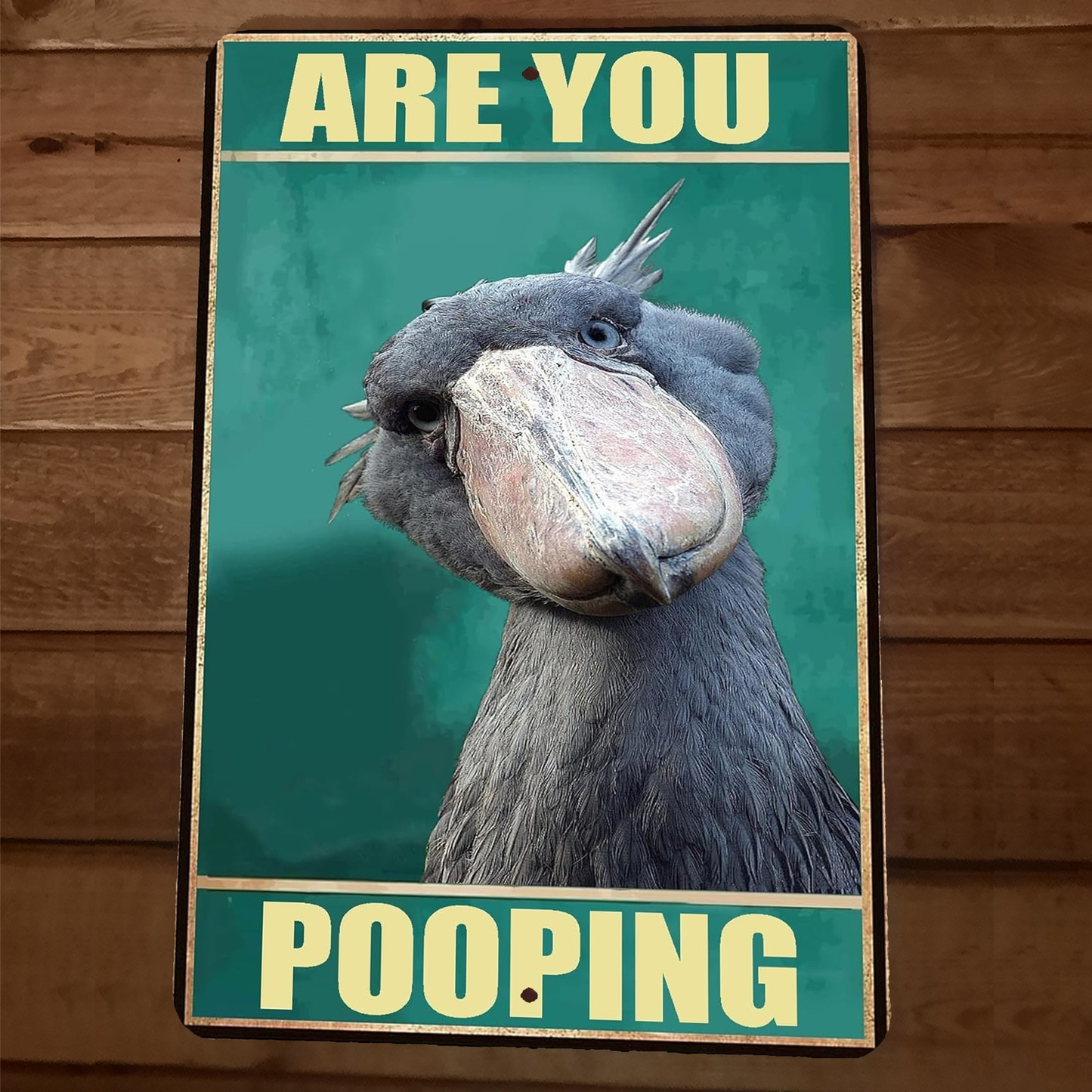 Are You Pooping Shoebill Bird Stork 8x12 Funny Bathroom Metal Wall Sign