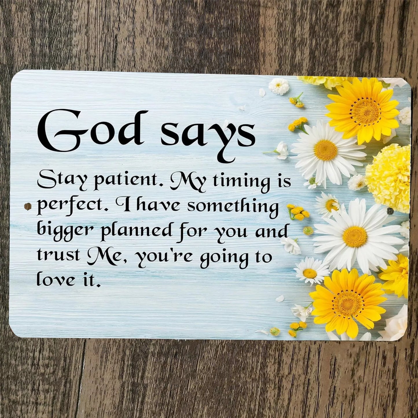 God Says Stay Patient My Timing is Perfect 8x12 Metal Wall Sign Poster