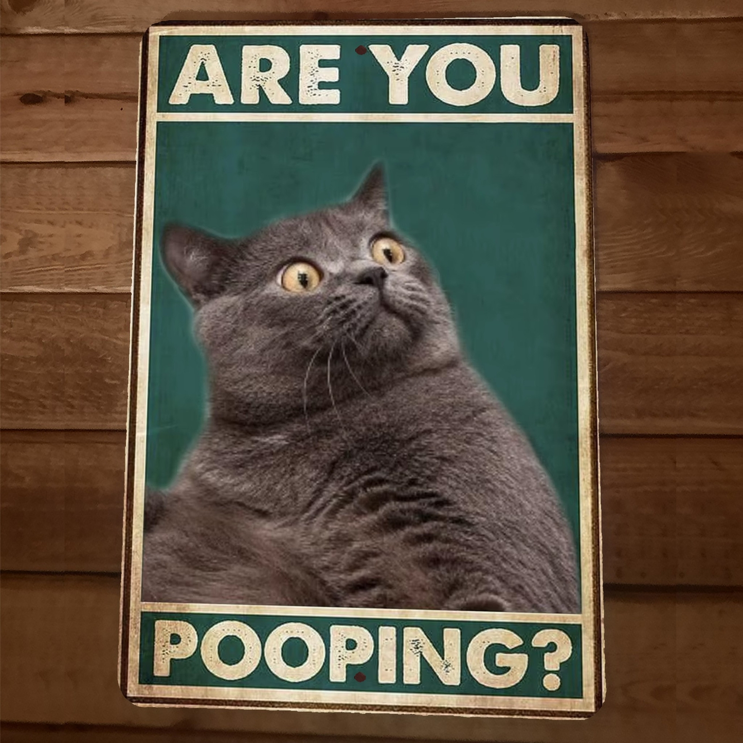 Are You Pooping Cat 8x12 Funny Bathroom Metal Wall Sign #3