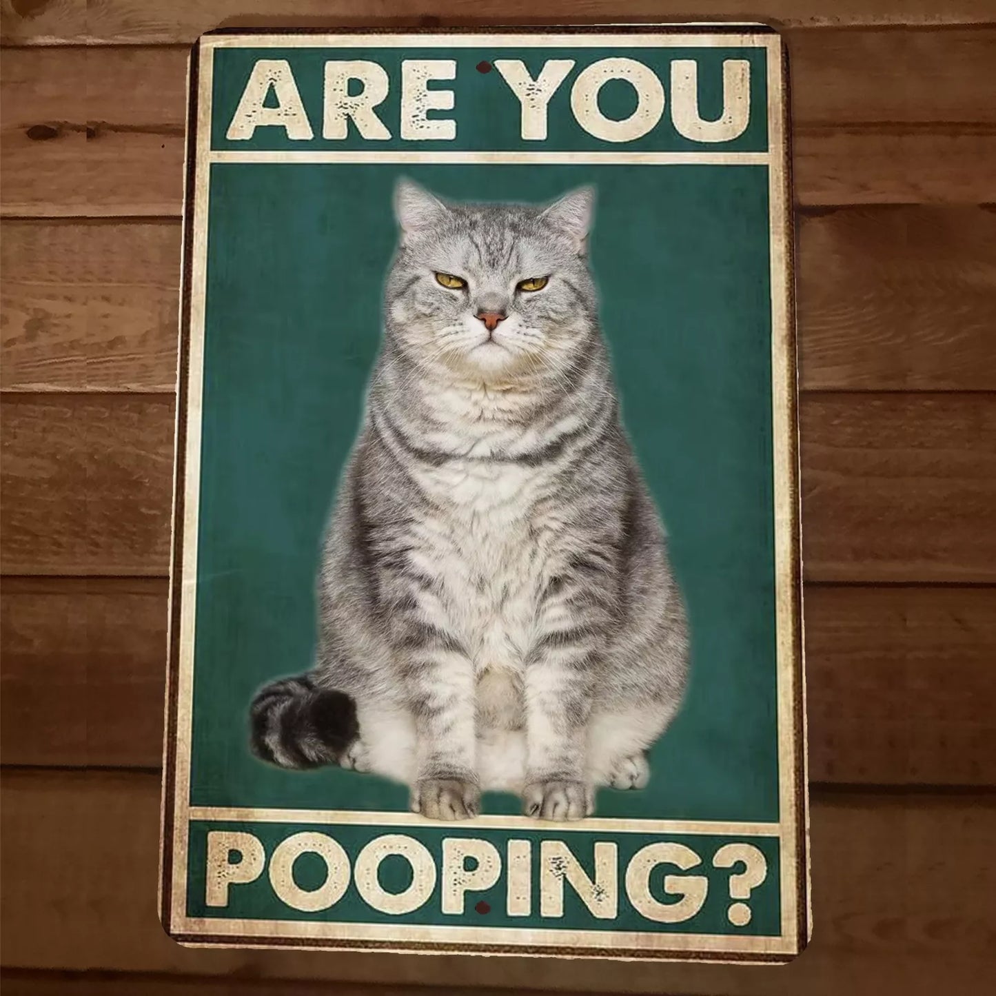 Are You Pooping Cat 8x12 Funny Bathroom Metal Wall Sign #4