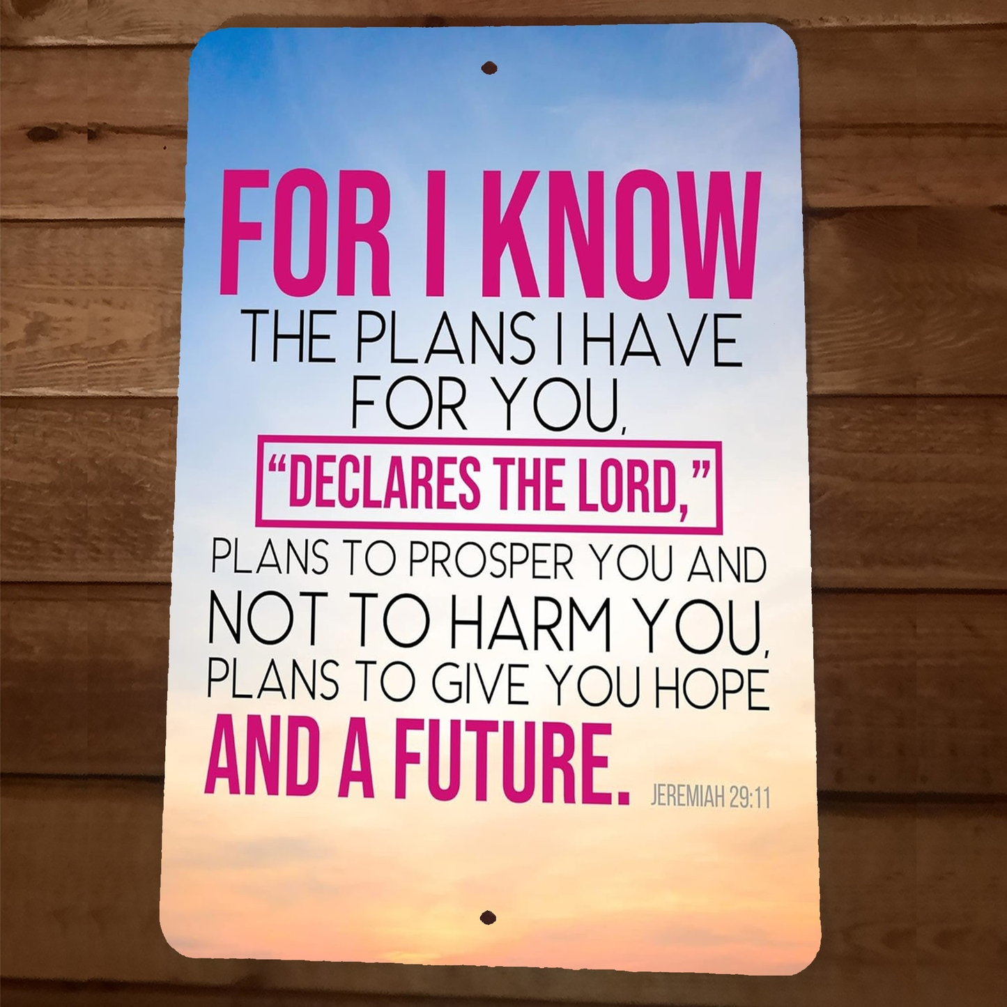 Jeremiah 29:11 Bible Verse For I Know The Plans I Have  8x12 Metal Wall Sign