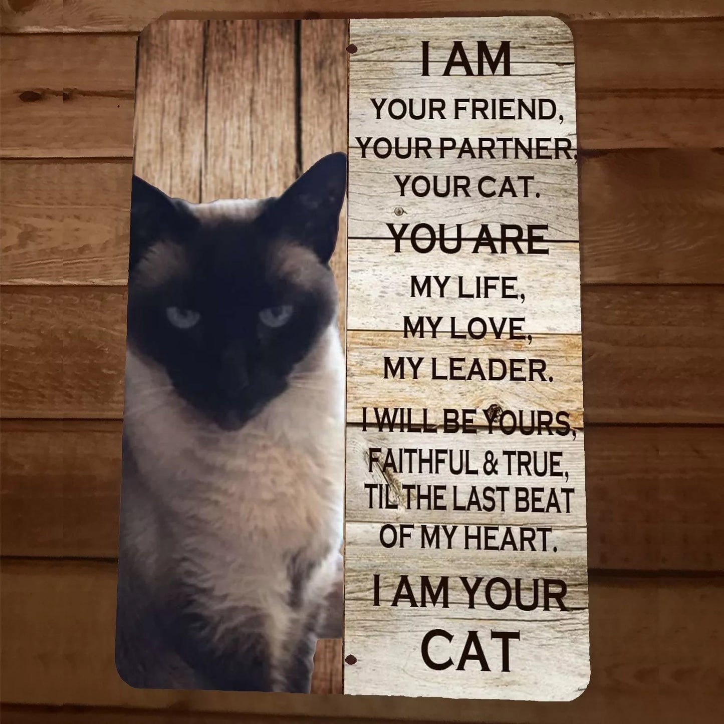 I am Your Siamese Cat 8x12 Metal Wall Sign Animal Poster #2