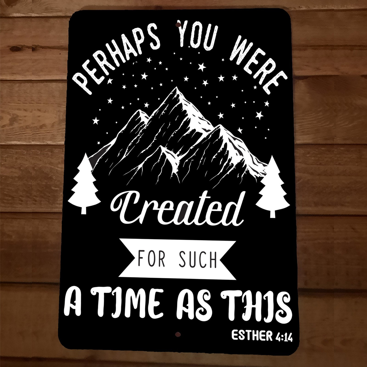 Esther 414 Perhaps You Were Created for such a Time as This 8x12 Metal Wall Sign