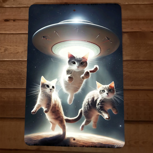 Kitten Cats Being Abducted by Alien UFO Flying Saucer 8x12 Metal Wall Sign