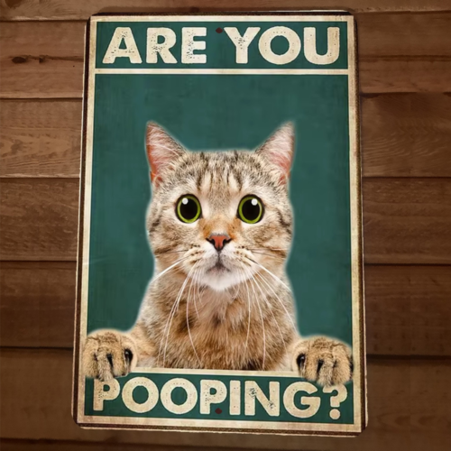 Are You Pooping Cat 8x12 Funny Bathroom Metal Wall Sign #2