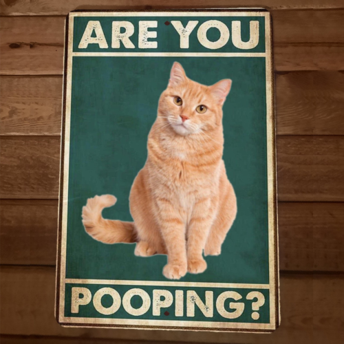 Are You Pooping Cat 8x12 Funny Bathroom Metal Wall Sign #1