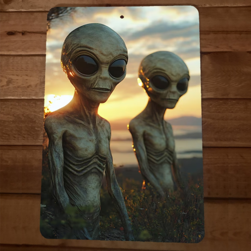 Alien Grays 8x12 Metal Wall Sign