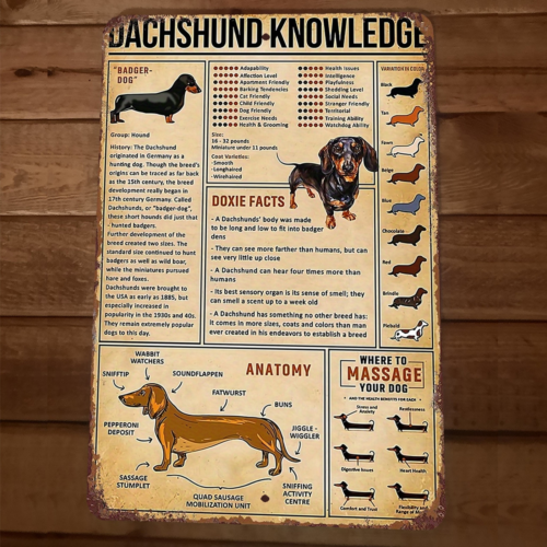 Dachshund Knowledge 8x12 Metal Wall Dog Sign