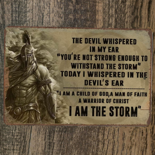 I am the Storm Spartan Code 8x12 Metal Wall Sign Poster