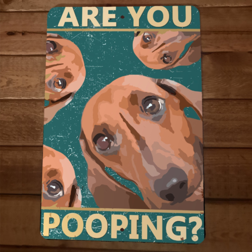 Are You Pooping Dachshund Dogs 8x12 Funny Bathroom Metal Wall Sign #2