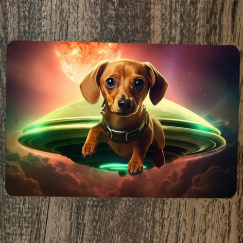 Dachshund Wiener Dog and Aliens UFO Flying Saucer 8x12 Metal Wall Sign